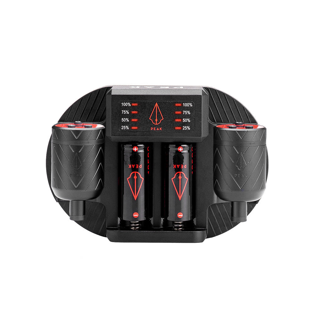 Charging Dock + Forge-C Battery Packs Bundle