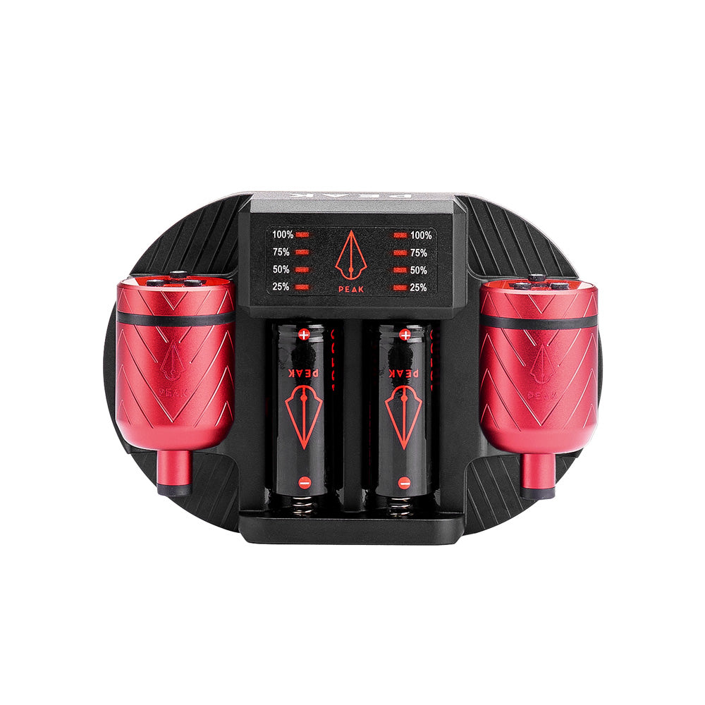 Charging Dock + Forge-C Battery Packs Bundle