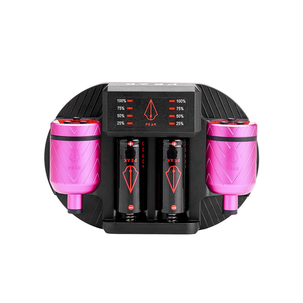 Charging Dock + Forge-C Battery Packs Bundle