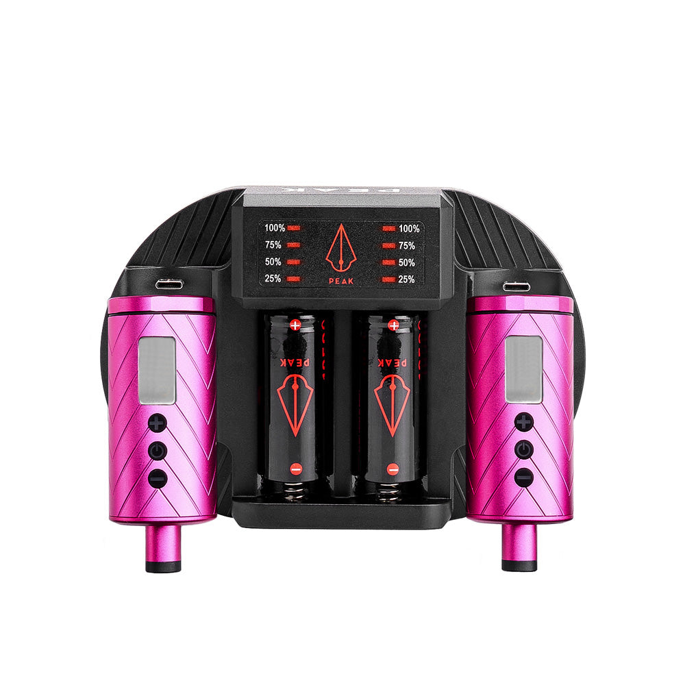 Charging Dock + Forge Reloadable Battery Packs Bundle