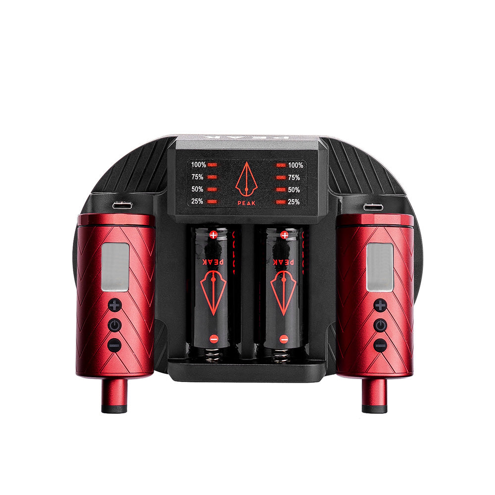 Charging Dock + Forge Reloadable Battery Packs Bundle