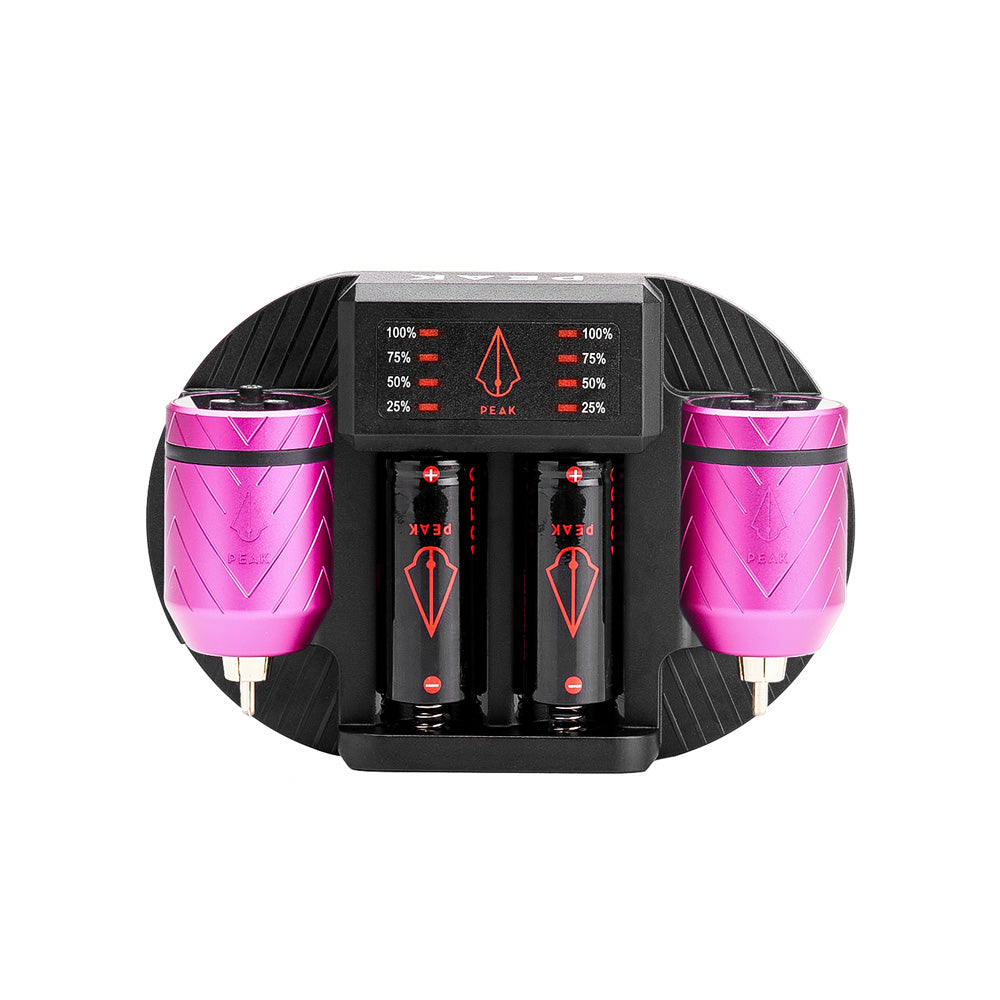 Charging Dock + Forge-C Battery Packs Bundle