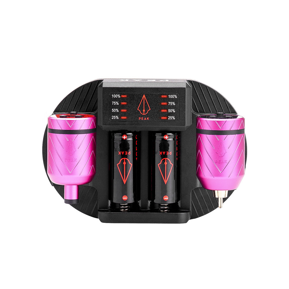 Charging Dock + Forge-C Battery Packs Bundle